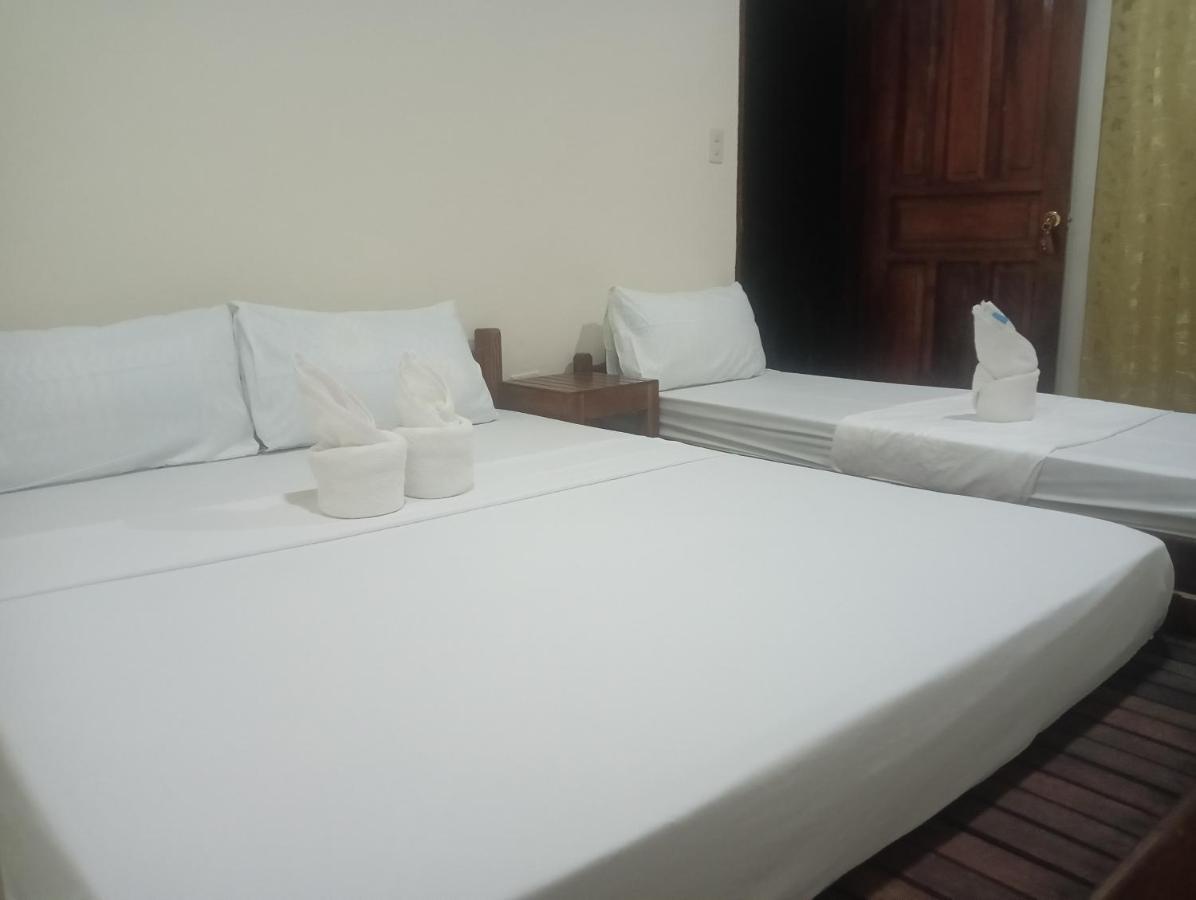 Nay Nildz Pension House San Vicente  Buitenkant foto